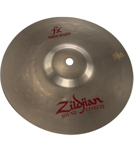 Amazon.com: Avedis Zildjian Company FX Trashformer - 14 Inches